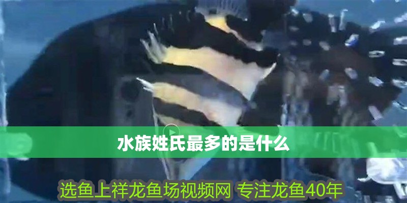 水族姓氏最多的是什么 水族姓氏最多的是什么 龍魚論壇