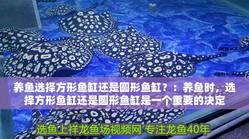 養魚選擇方形魚缸還是圓形魚缸？：養魚時，選擇方形魚缸還是圓形魚缸是一個重要的決定