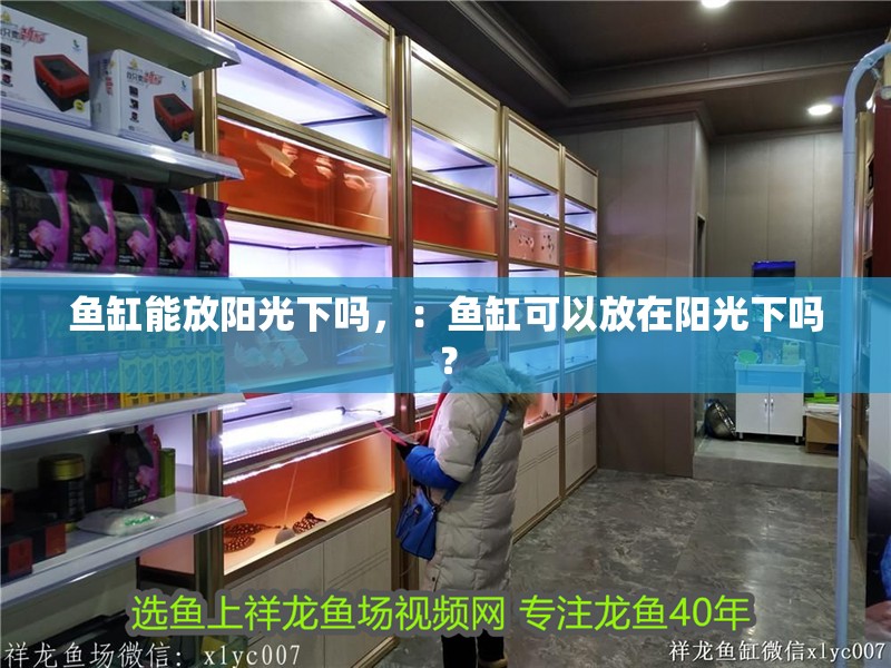 魚缸能放陽光下嗎，：魚缸可以放在陽光下嗎？