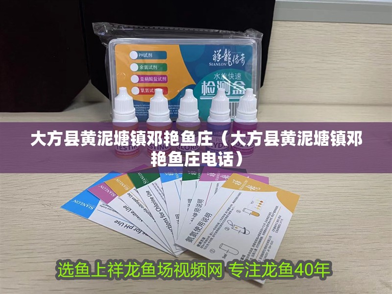 <strong><mark>大方</mark></strong>縣黃泥塘鎮(zhèn)鄧艷魚莊（<strong><mark>大方</mark></strong>縣黃泥塘鎮(zhèn)鄧艷魚莊電話）