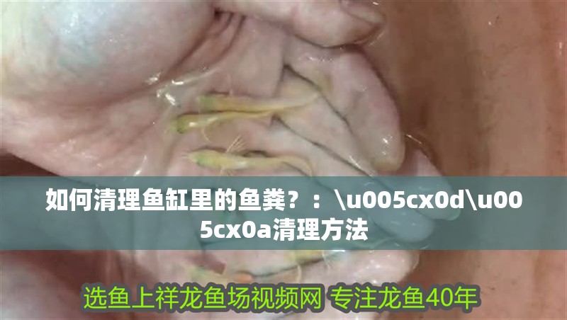 如何清理魚缸里的魚糞？：\u005cx0d\u005cx0a清理方法