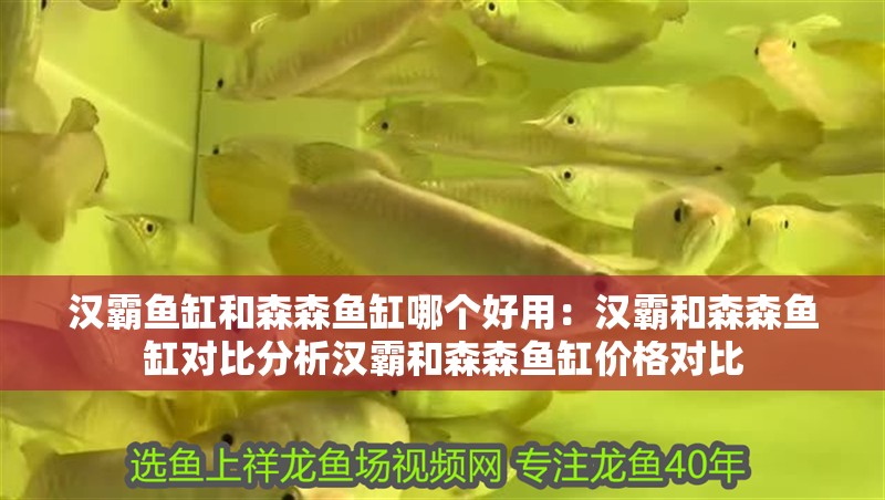 漢霸魚缸和森森魚缸哪個好用：漢霸和森森魚缸對比分析漢霸和森森魚缸價格對比 漢霸魚缸和森森魚缸哪個好用：漢霸和森森魚缸對比分析漢霸和森森魚缸價格對比 魚缸百科