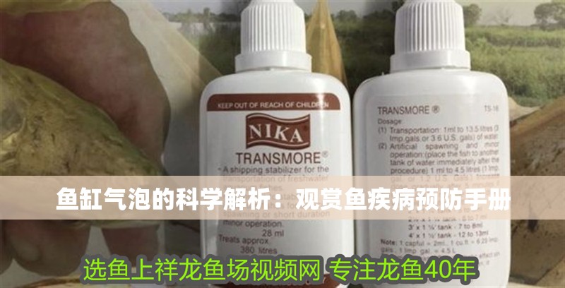 魚缸氣泡的科學解析：觀賞魚疾病預防手冊 魚缸氣泡的科學解析：觀賞魚疾病預防手冊 魚缸百科