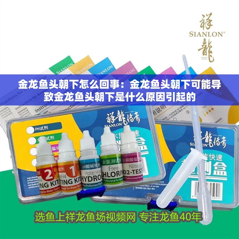 金龍魚頭朝下怎么回事：金龍魚頭朝下可能導致金龍魚頭朝下是什么原因引起的