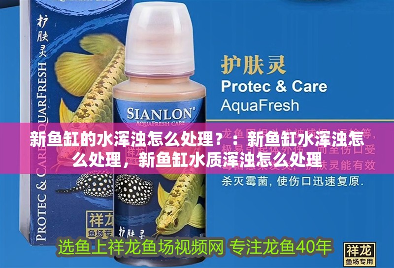新魚缸的水渾濁怎么處理？：新魚缸水渾濁怎么處理，新魚缸水質(zhì)渾濁怎么處理
