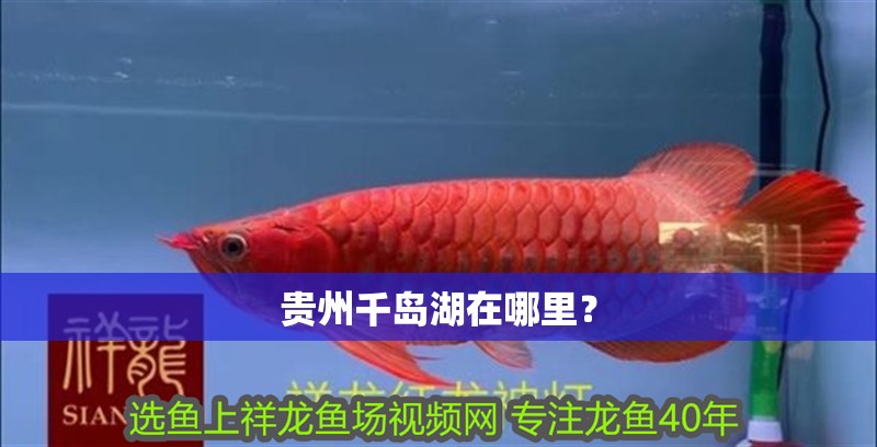 貴州千島湖在哪里？