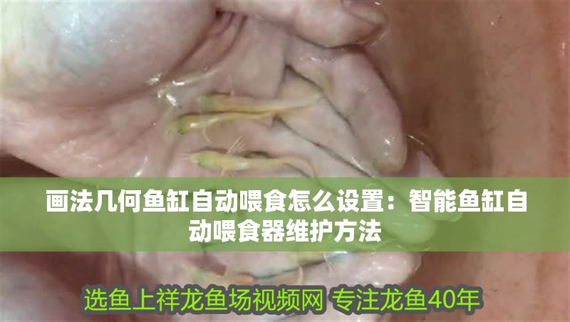 畫法幾何魚缸自動(dòng)喂食怎么設(shè)置：智能魚缸自動(dòng)喂食器維護(hù)方法 畫法幾何魚缸自動(dòng)喂食怎么設(shè)置：智能魚缸自動(dòng)喂食器維護(hù)方法 魚缸百科