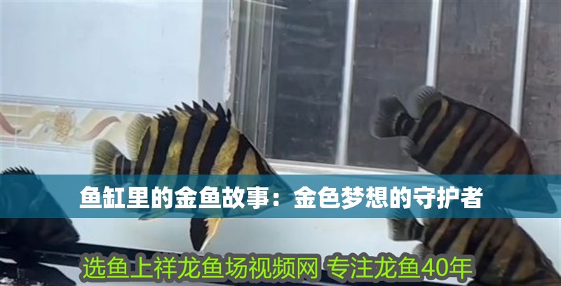 魚缸里的金魚故事：金色夢想的守護者