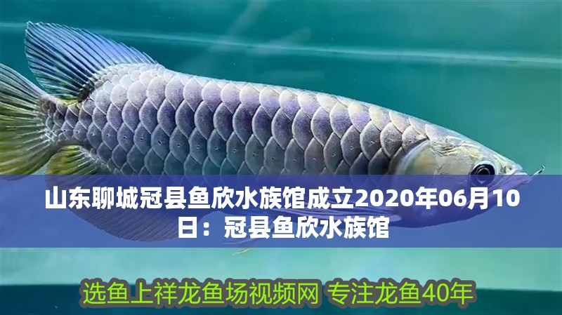 山東<strong><mark>聊城</mark></strong>冠縣魚欣水族館成立2020年06月10日：冠縣魚欣水族館