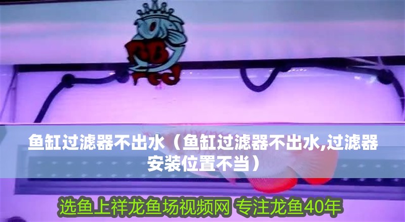 魚缸過濾器不出水（魚缸過濾器不出水,過濾器安裝位置不當）