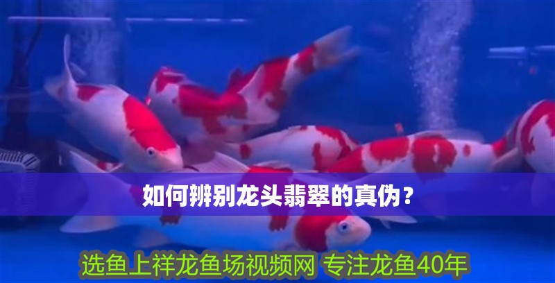 如何辨別龍頭翡翠的真偽？