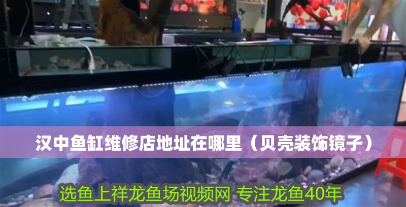 漢中魚(yú)缸維修店地址在哪里（貝殼裝飾鏡子）