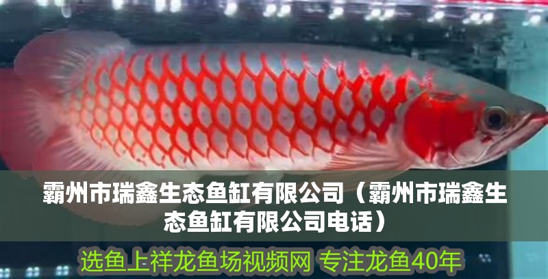 霸州市瑞鑫生態魚缸有限公司（霸州市瑞鑫生態魚缸有限公司電話）