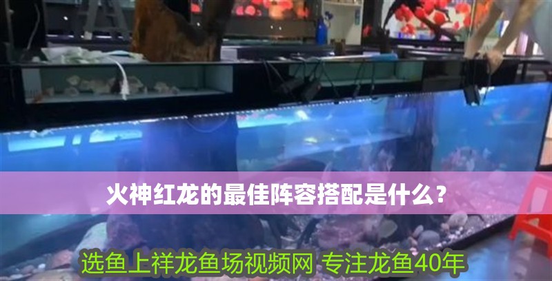 火神紅龍的最佳陣容搭配是什么？
