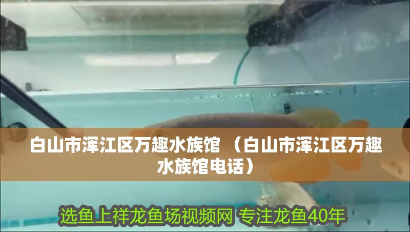 白山市渾江區萬趣水族館 （白山市渾江區萬趣水族館電話）