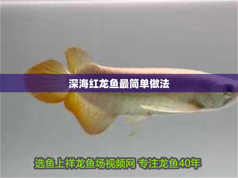 深海紅龍魚最簡單做法 深海紅龍魚最簡單做法 龍魚論壇