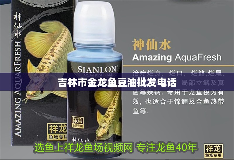 吉林市金龍魚豆油批發電話