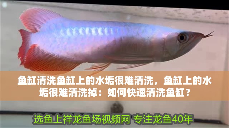 魚缸清洗魚缸上的水垢很難清洗，魚缸上的水垢很難清洗掉：如何快速清洗魚缸？