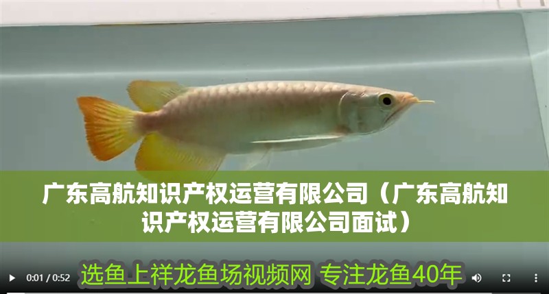 廣東高航知識產權運營有限公司（廣東高航知識產權運營有限公司面試）