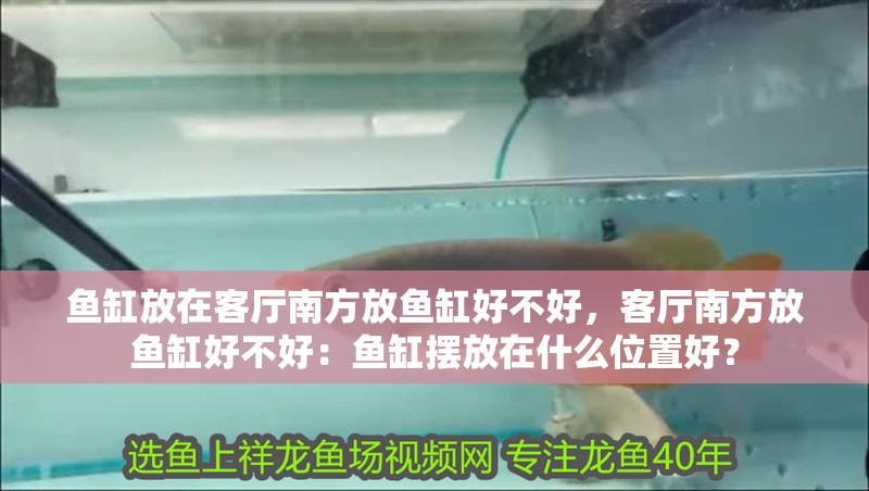 魚缸放在客廳南方放魚缸好不好，客廳南方放魚缸好不好：魚缸擺放在什么位置好？