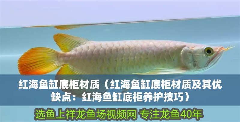 紅海魚缸底柜材質（紅海魚缸底柜材質及其優缺點：紅海魚缸底柜養護技巧）