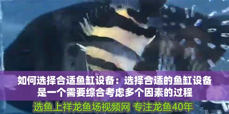 如何選擇合適魚(yú)缸設(shè)備：選擇合適的魚(yú)缸設(shè)備是一個(gè)需要綜合考慮多個(gè)因素的過(guò)程