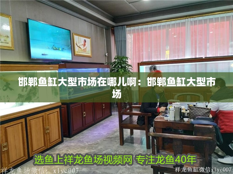 邯鄲魚缸大型市場(chǎng)在哪兒啊：邯鄲魚缸大型市場(chǎng)