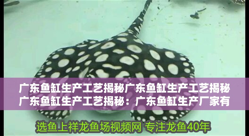 廣東魚缸生產工藝揭秘廣東魚缸生產工藝揭秘廣東魚缸生產工藝揭秘：廣東魚缸生產廠家有哪些？