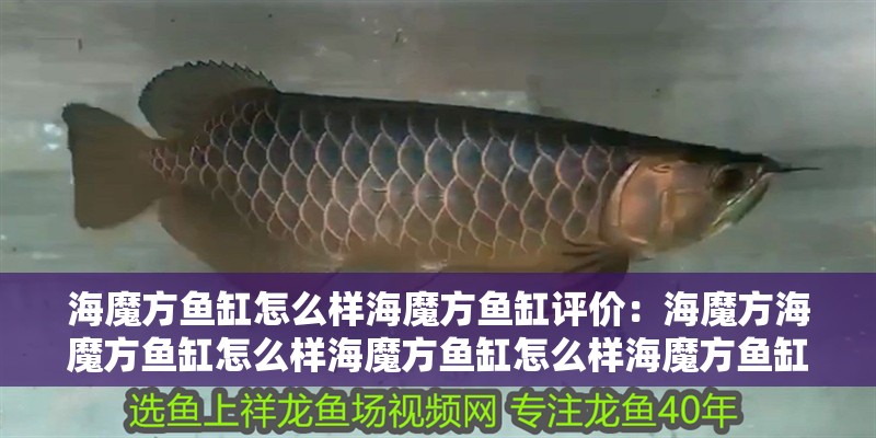 海魔方魚缸怎么樣海魔方魚缸評價：海魔方海魔方魚缸怎么樣海魔方魚缸怎么樣海魔方魚缸 海魔方魚缸怎么樣海魔方魚缸評價：海魔方海魔方魚缸怎么樣海魔方魚缸怎么樣海魔方魚缸 魚缸百科