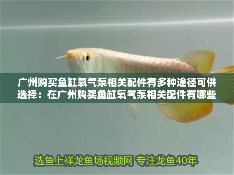 廣州購買魚缸氧氣泵相關配件有多種途徑可供選擇：在廣州購買魚缸氧氣泵相關配件有哪些途徑