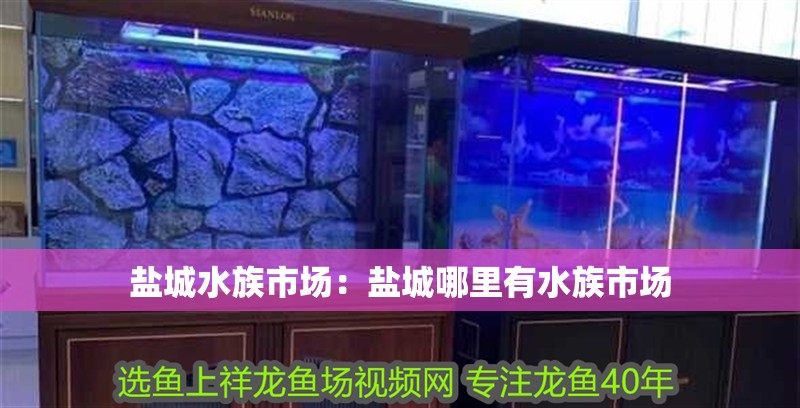鹽城水族市場：鹽城哪里有水族市場