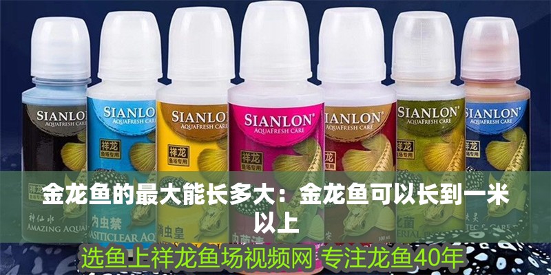 金龍魚的最大能長多大：金龍魚可以長到一米以上