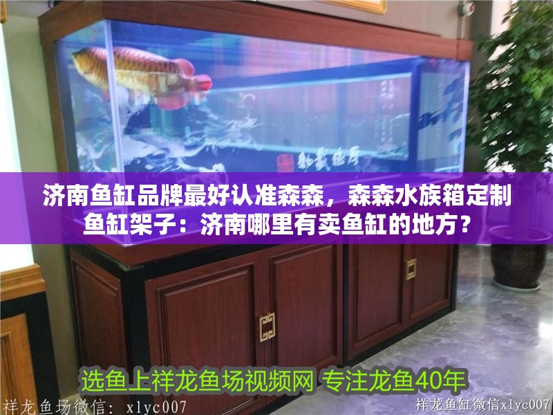 濟南魚缸品牌最好認準森森，森森水族箱定制魚缸架子：濟南哪里有賣魚缸的地方？