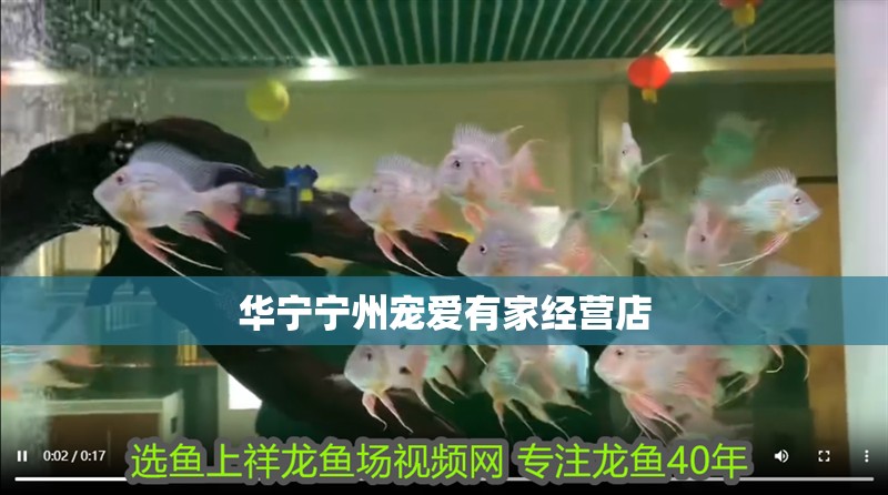 華寧寧州寵愛有家經營店