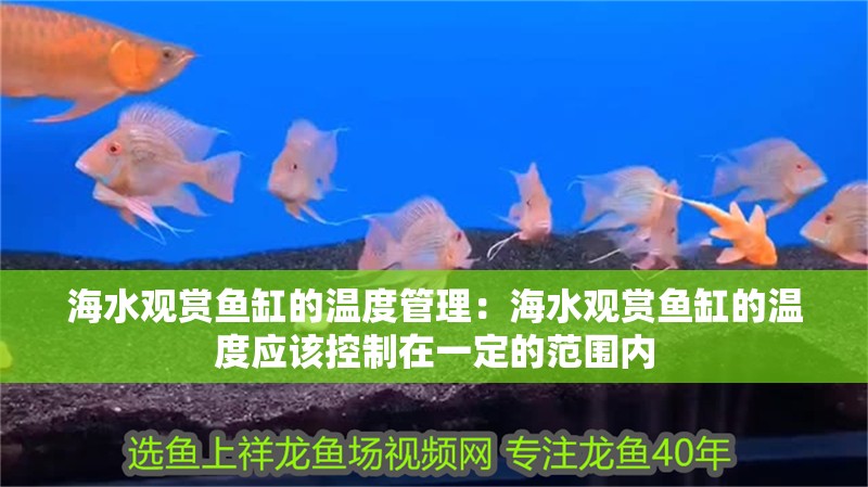 海水觀賞魚缸的溫度管理：海水觀賞魚缸的溫度應該控制在一定的范圍內 海水觀賞魚缸的溫度管理：海水觀賞魚缸的溫度應該控制在一定的范圍內 魚缸百科