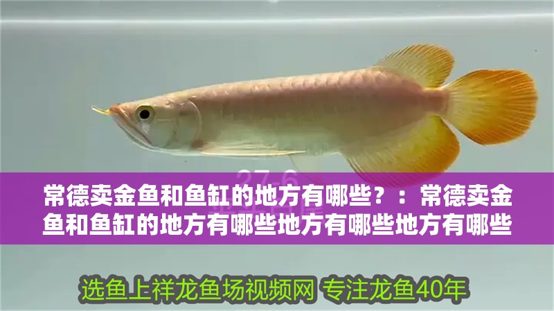 常德賣金魚和魚缸的地方有哪些？：常德賣金魚和魚缸的地方有哪些地方有哪些地方有哪些