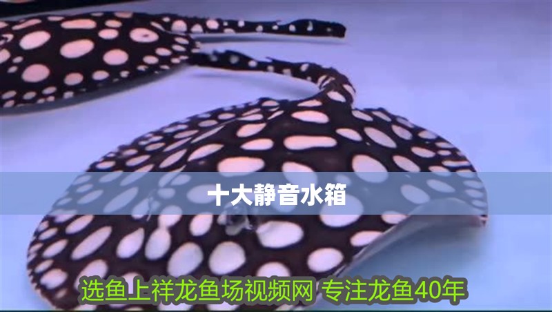 十大靜音水箱