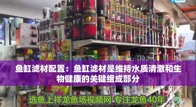 魚缸濾材配置：魚缸濾材是維持水質清澈和生物健康的關鍵組成部分 魚缸濾材配置：魚缸濾材是維持水質清澈和生物健康的關鍵組成部分 魚缸百科