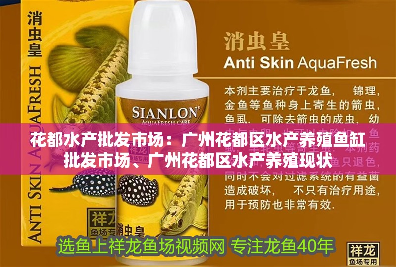 花都水產批發市場：廣州花都區水產養殖魚缸批發市場、廣州花都區水產養殖現狀