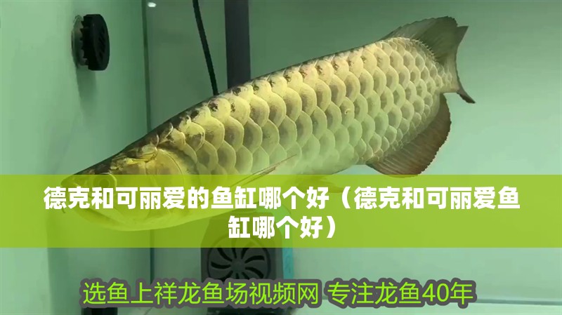 德克和可麗愛的魚缸哪個好（德克和可麗愛魚缸哪個好）