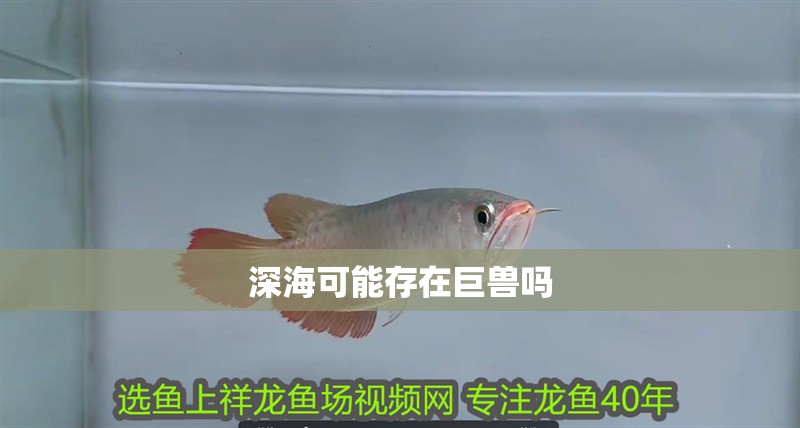 深海可能存在巨獸嗎
