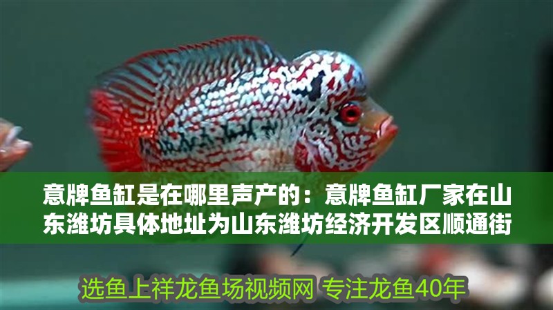 意牌魚缸是在哪里聲產的：意牌魚缸廠家在山東濰坊具體地址為山東濰坊經濟開發區順通街271號信佳花園1號樓 意牌魚缸是在哪里聲產的：意牌魚缸廠家在山東濰坊具體地址為山東濰坊經濟開發區順通街271號信佳花園1號樓 魚缸百科