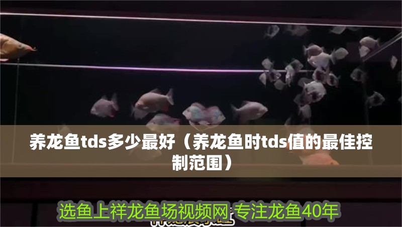 養(yǎng)龍魚tds多少最好（養(yǎng)龍魚時(shí)tds值的最佳控制范圍）