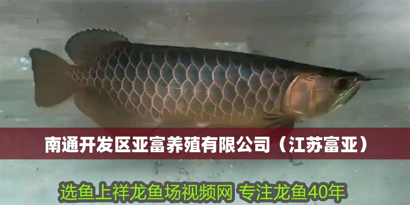 <strong><mark>南通</mark></strong>開發(fā)區(qū)亞富養(yǎng)殖有限公司（江蘇富亞）