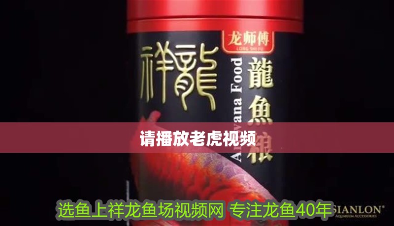 請(qǐng)播放老虎視頻