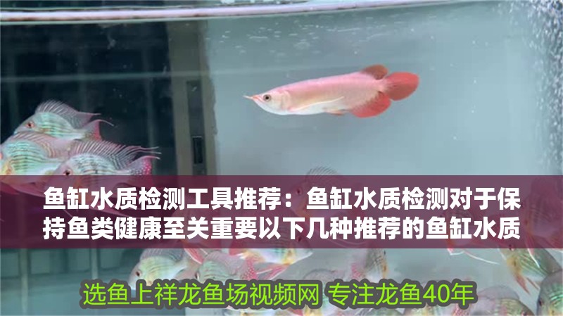 魚缸水質(zhì)檢測工具推薦：魚缸水質(zhì)檢測對于保持魚類健康至關(guān)重要以下幾種推薦的魚缸水質(zhì)檢測工具
