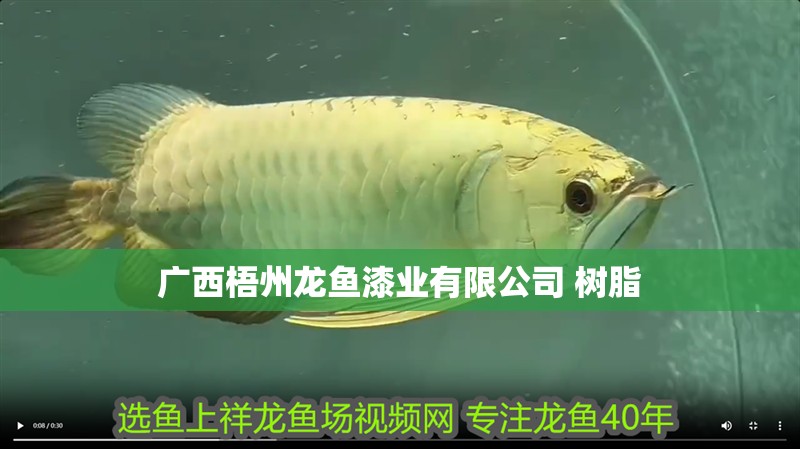 廣西梧州龍魚(yú)漆業(yè)有限公司 樹(shù)脂