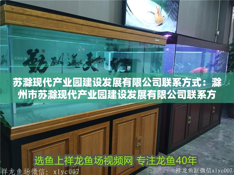 蘇滁現(xiàn)代產(chǎn)業(yè)園建設(shè)發(fā)展有限公司聯(lián)系方式：滁州市蘇滁現(xiàn)代產(chǎn)業(yè)園建設(shè)發(fā)展有限公司聯(lián)系方式 蘇滁現(xiàn)代產(chǎn)業(yè)園建設(shè)發(fā)展有限公司聯(lián)系方式：滁州市蘇滁現(xiàn)代產(chǎn)業(yè)園建設(shè)發(fā)展有限公司聯(lián)系方式 魚缸百科