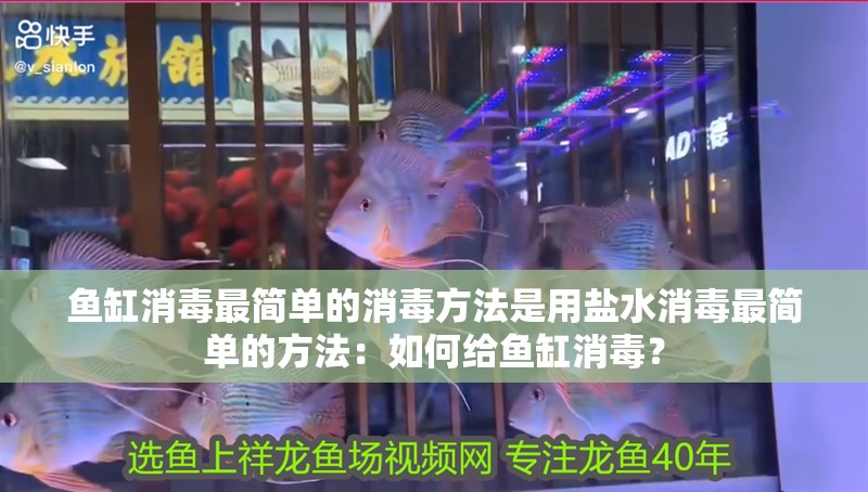 魚缸消毒最簡單的消毒方法是用鹽水消毒最簡單的方法：如何給魚缸消毒？