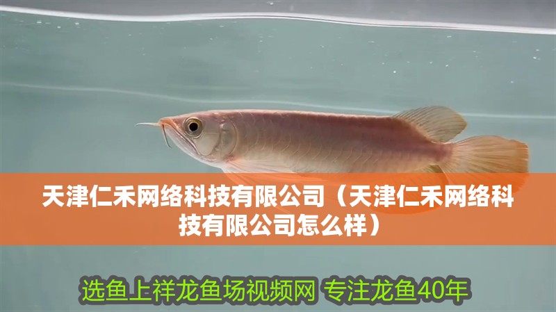 天津仁禾網絡科技有限公司（天津仁禾網絡科技有限公司怎么樣） 天津仁禾網絡科技有限公司（天津仁禾網絡科技有限公司怎么樣） 全國水族館企業名錄